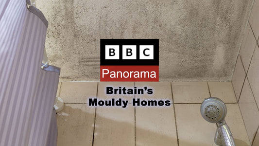 mouldy shower ceiling, with BBC Panorama logo overlaid