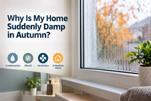 The Nights Are Drawing In: Managing Damp and Condensation This Autumn