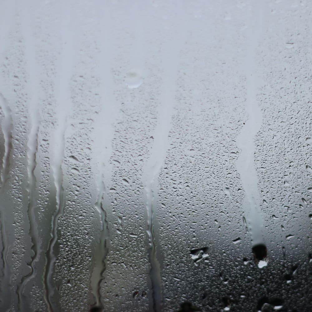 condensated window