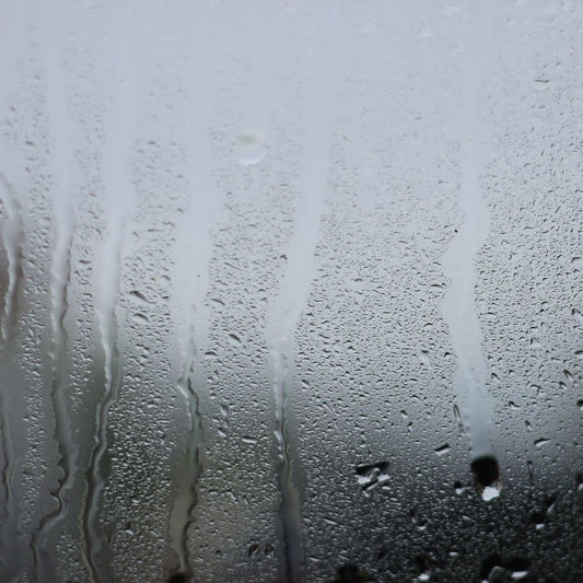 condensated window